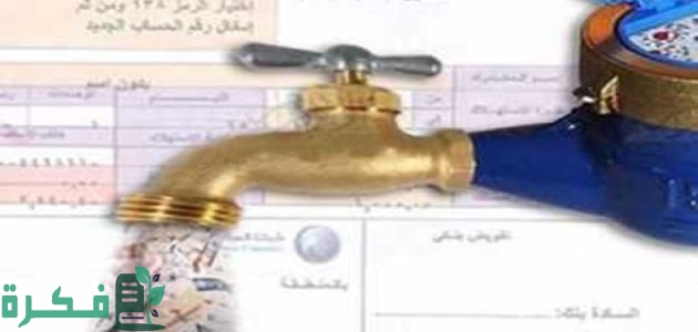 ازاي اقدر استعلم عن فاتورة المياه برقم العداد لشهر فبراير 2025 1 هنا رابط الاستعلام عن فاتورة المياه برقم العداد لشهر فبراير 2025 ؟