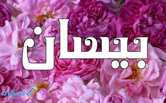 اسم بيسان4