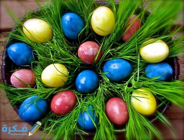 صور شم النسيم IMG 1091