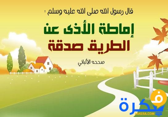 الموضوع: إزالة أضرار الطريق للأطفال