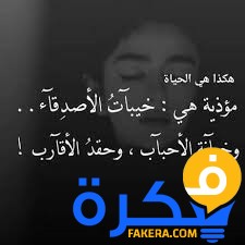 اقوال عن خيبة الامل في الاصدقاء aiqtabas blog