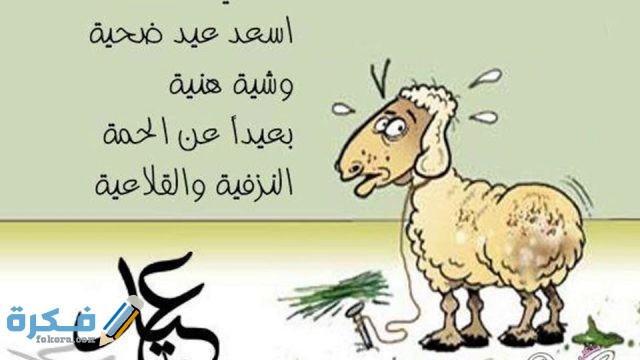 صور مضحكة عن خروف عيد الاضحى maxresdefault 1 1