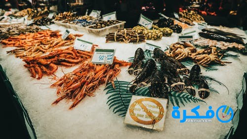 فائدة سرطان البحر 5 pexels photo 2031994