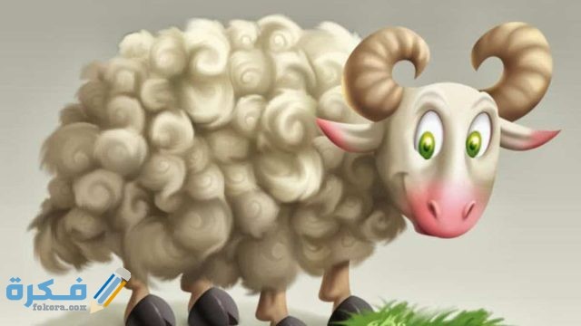 اجمل الصور خروف عيد الاضحى المبارك خروف العيد