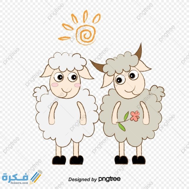 صور خروف عيد الأضحى صور خروف العيد 1