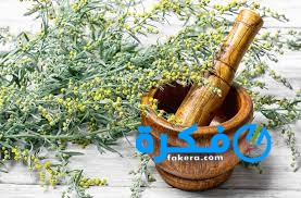 فوائد الشيح 1 images 1