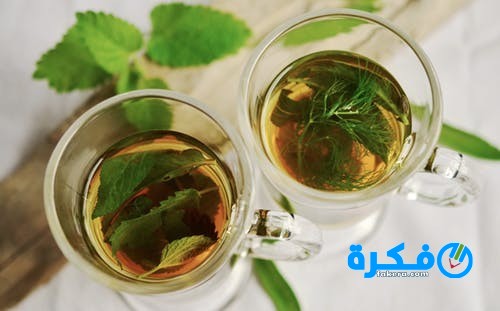 herbal tea herbs tee mint 159203