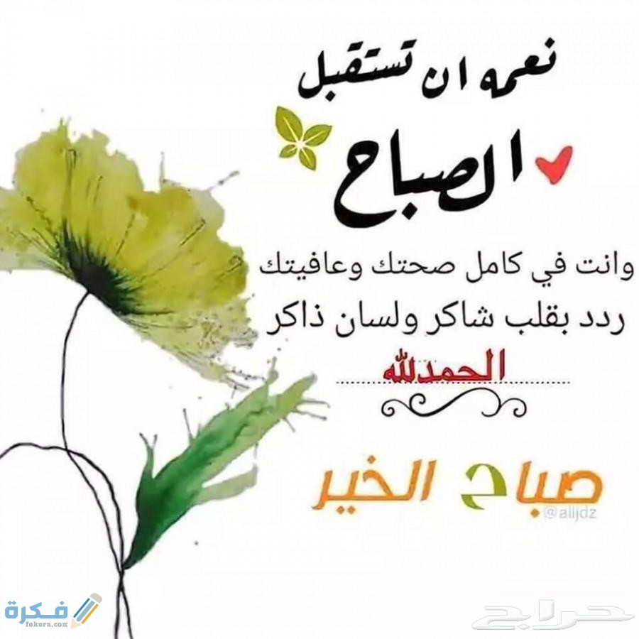 صور صباح الخير 2025 اجمل صور خلفيات عبارات صباحية - موقع فكرة