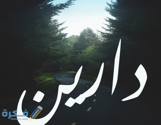 اسم دارين