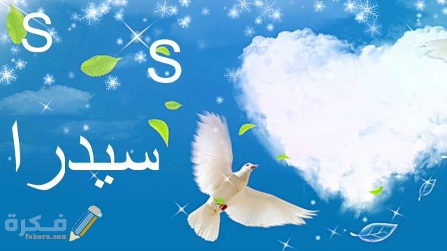 اسم سيدرا اسم سيدرا1