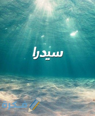 اسم سيدرا اسم سيدرا2