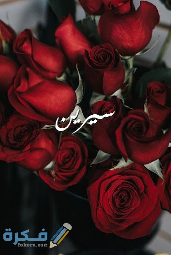 اسم سيرين اسم سيرين1