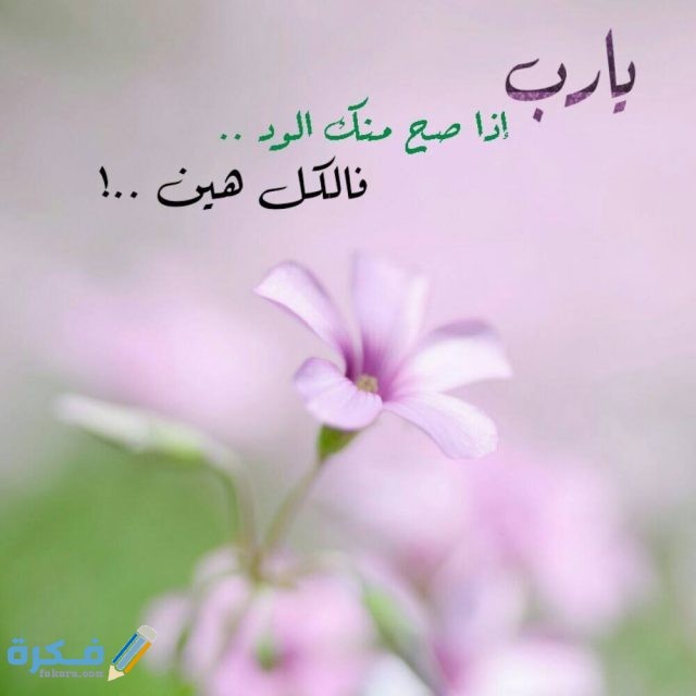 صور حالات واتس اب ادعية دينية 2026 19 خلفيات واتس اب دينيه روعه4