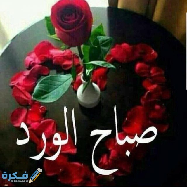اجمل صور الورد صباح الخير اجمل صور الورد صباح الخير
