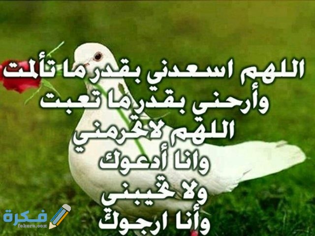 صور حالات واتس اب ادعية دينية 2026 15 صور دينية ادعية4 2