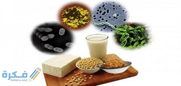 أهمية البكتيريا في الحياة