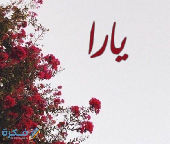 اسم يارا3