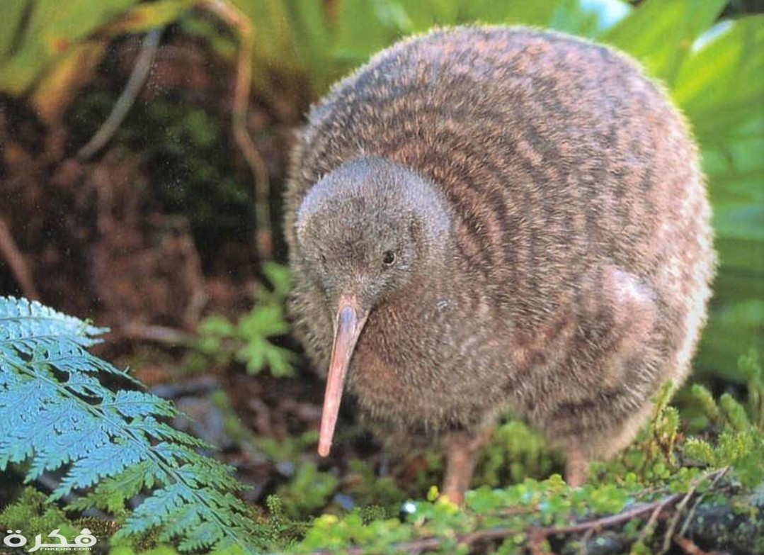 inbound467657937187260203