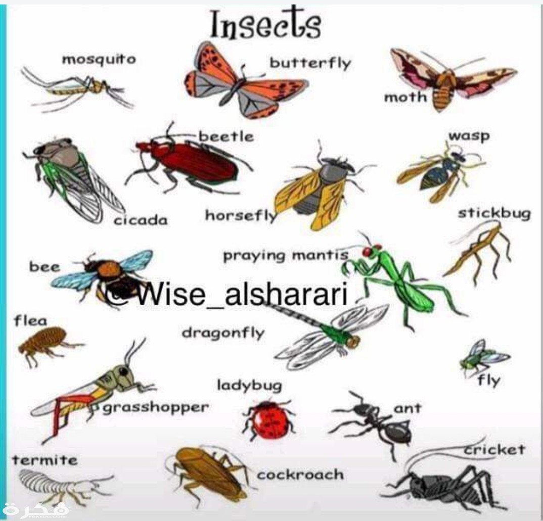 inbound3265960747793798331