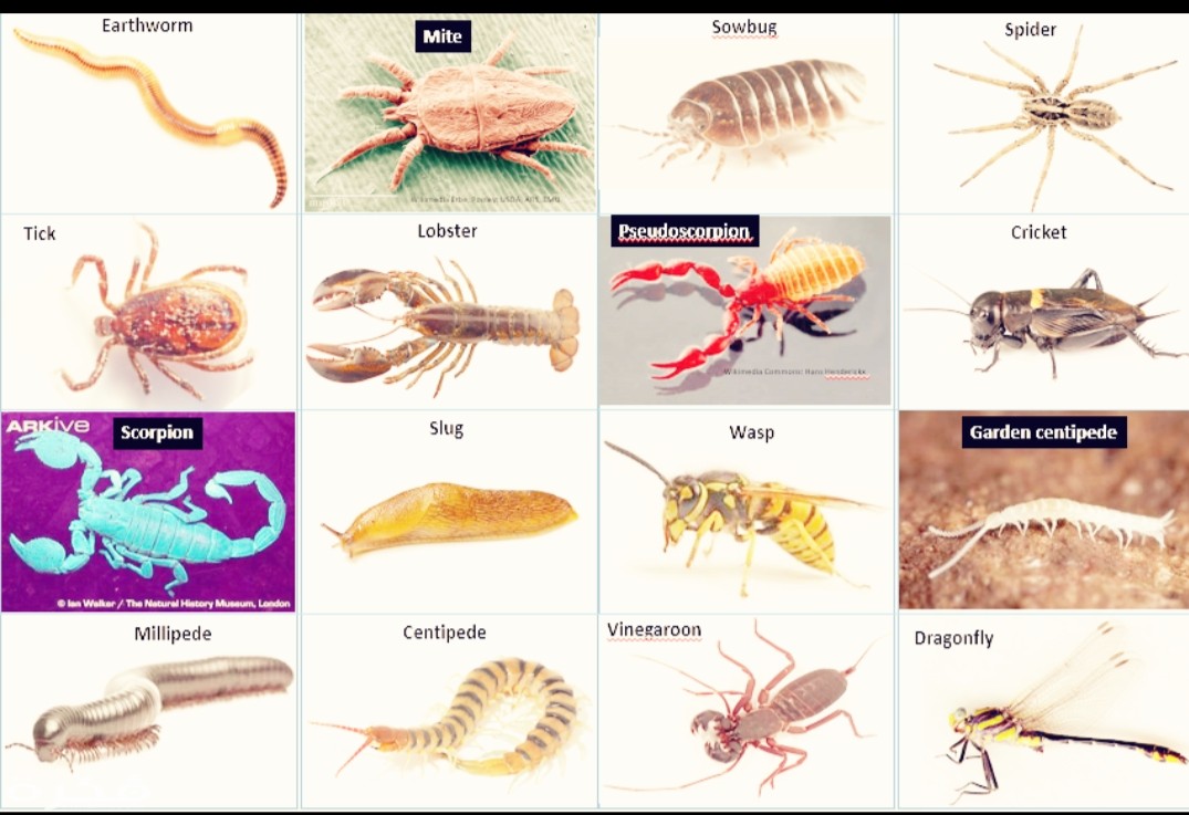 inbound8406381899648683012