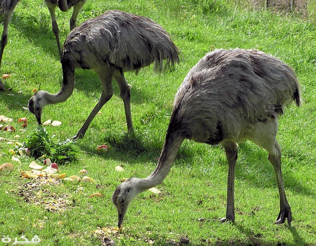 inbound8872866290397472616