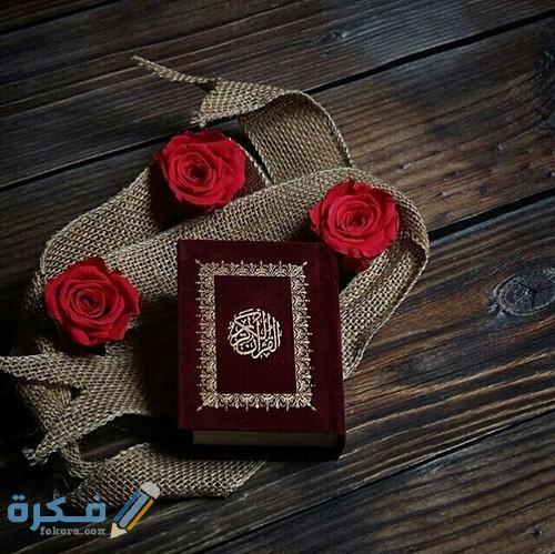 قران كريم أحمر 3