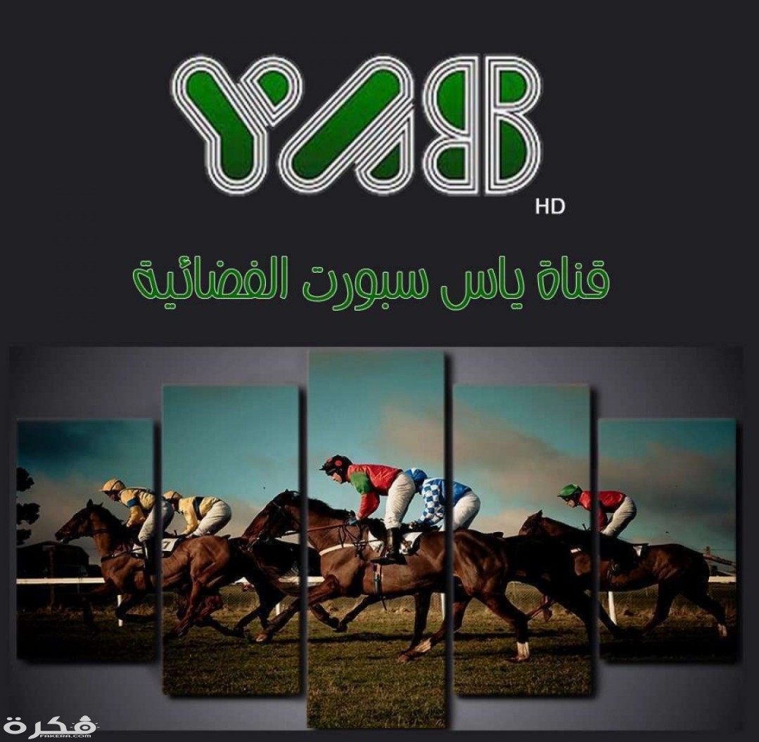 IMG ٢٠٢٠٠٣١٥ ١٦٣٤٣١