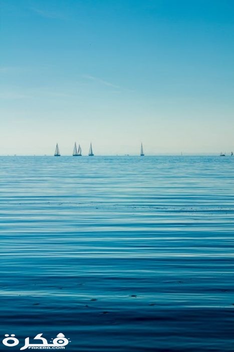 صور بحر
