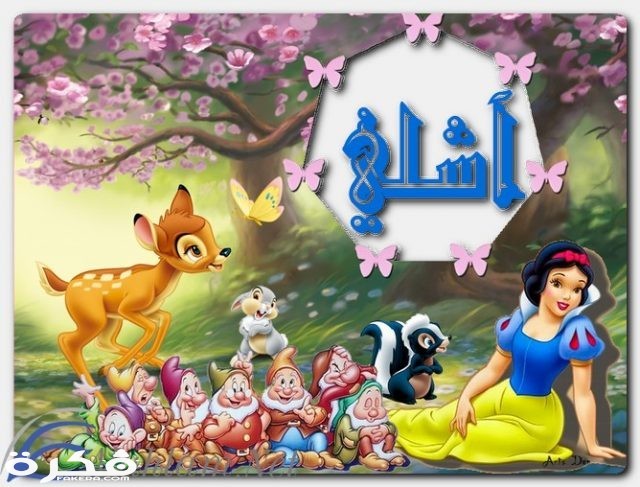 اسم آشلى
