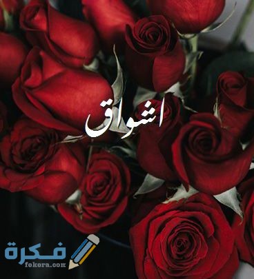 اسم اشواق
