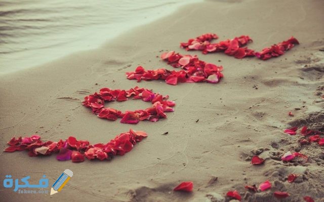 خلفيات ورد على البحر