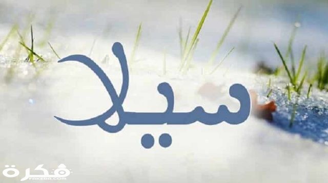 ما معنى اسم سيلا Sila وأسرار شخصيتها