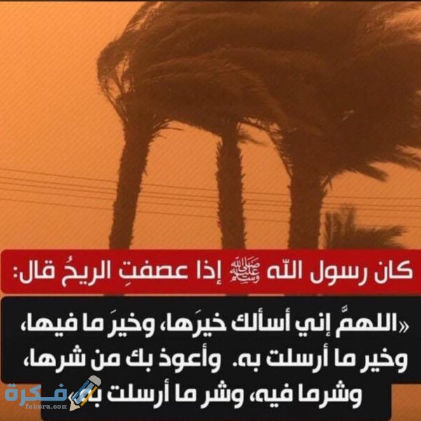 نصائح للوقاية من الغبار و الريح 600x600 1