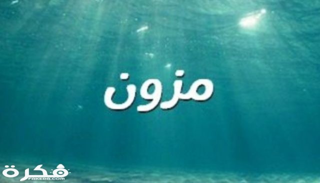 ٢٠١٩١٢٠٧ ٢٠١٣٣٩