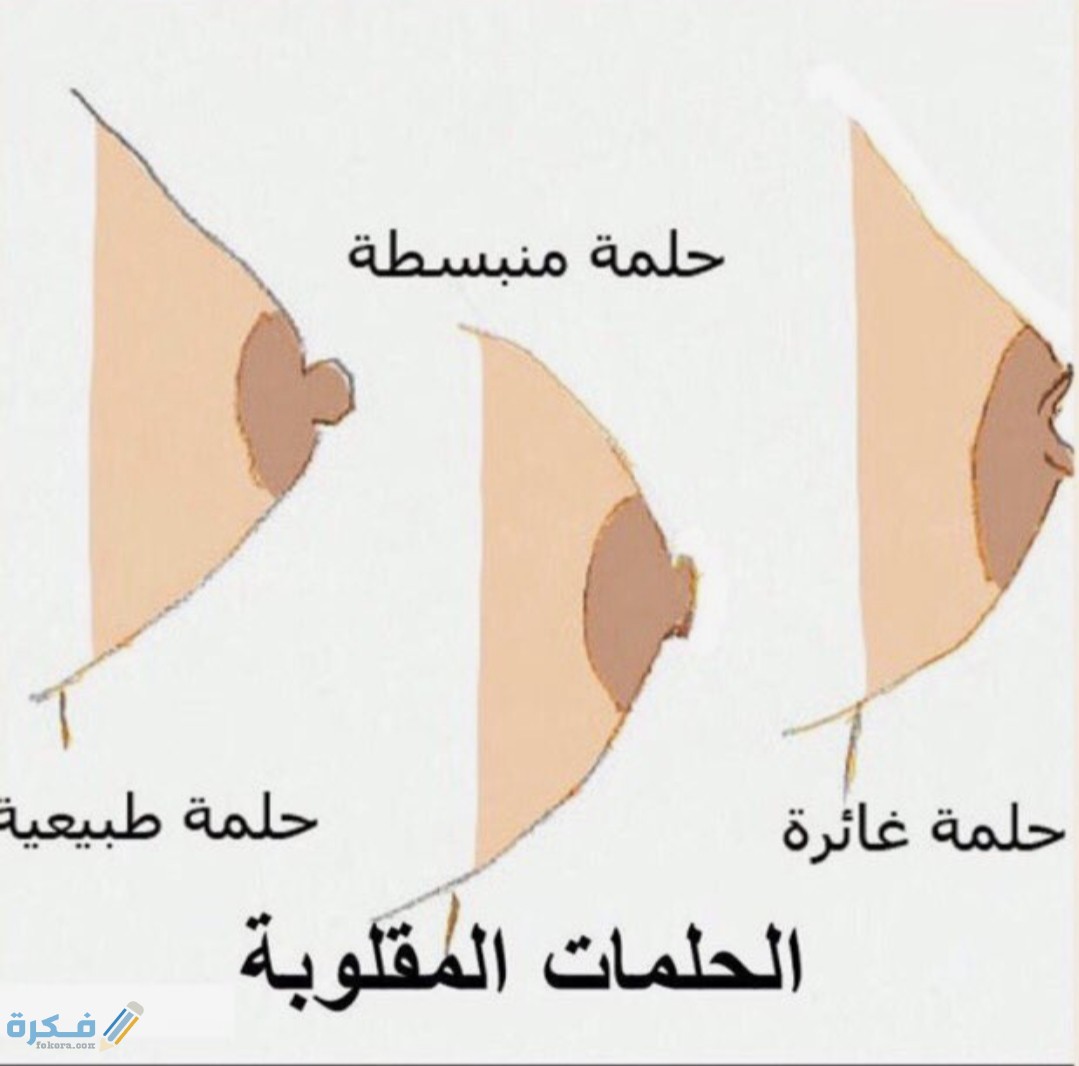 IMG ٢٠٢٠٠٤٢٩ ٢١٥٩٤٦