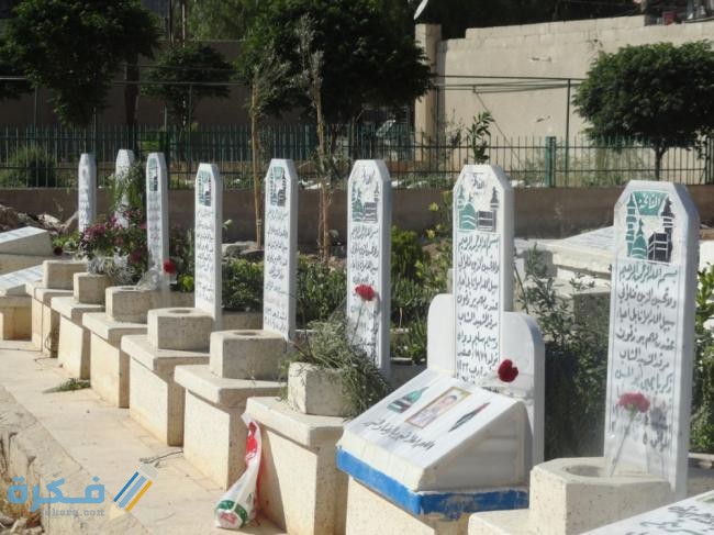 06118263428739207000300213335313