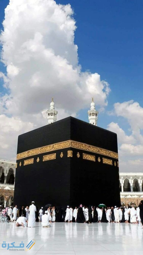 4c902b8d58d87c29bffbaf36ee3a7ce3