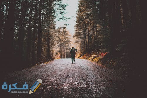 pexels photo 1526790