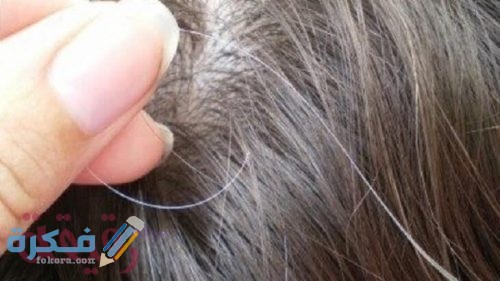 تفسير حلم الشعر الأبيض 1 500x281 1