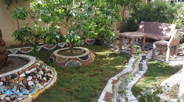 IMG ٢٠٢٠٠٦٠٦ ٠٩٤٠٠٦