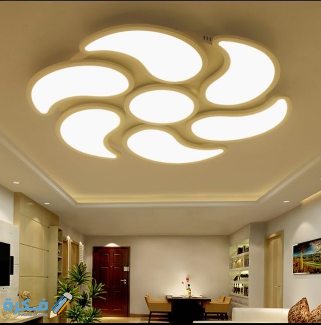 IMG ٢٠٢٠٠٦٠٨ ١٤٣٨٥٢