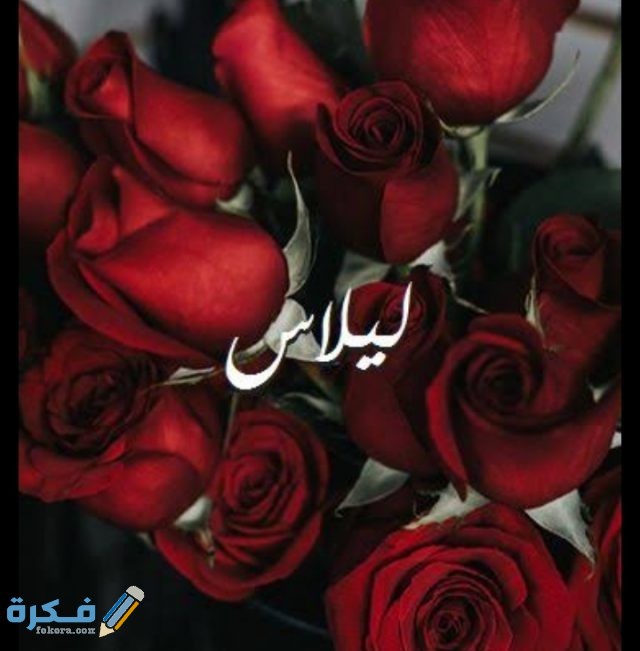 IMG ٢٠٢٠٠٧٠٣ ١٦٤١٣٤