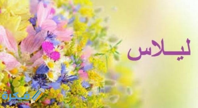 IMG ٢٠٢٠٠٧٠٣ ١٦٤١٥٦