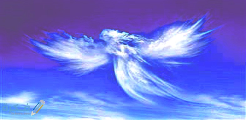 2017 636497155594316521 431