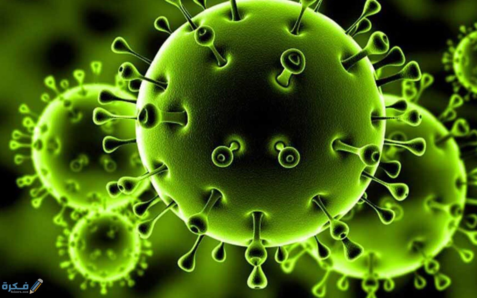 فيروس كورونا 3