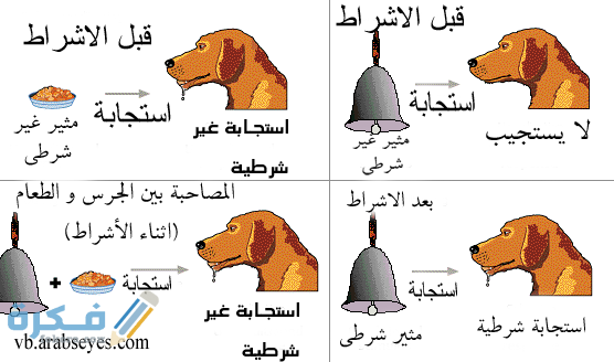سلبيات وايجابيات نظرية بافلوف
