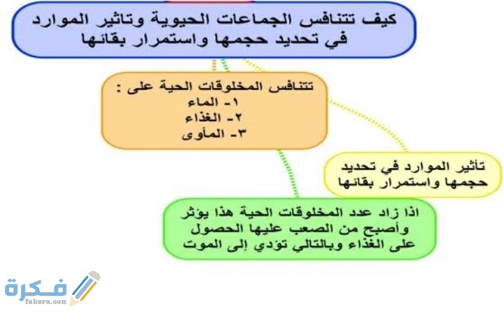 IMG ٢٠٢٠١٢٠٦ ٠٢٢١١٤