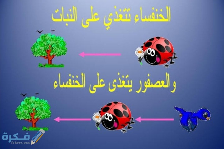 IMG ٢٠٢٠١٢٠٦ ٠٢٢١٢١