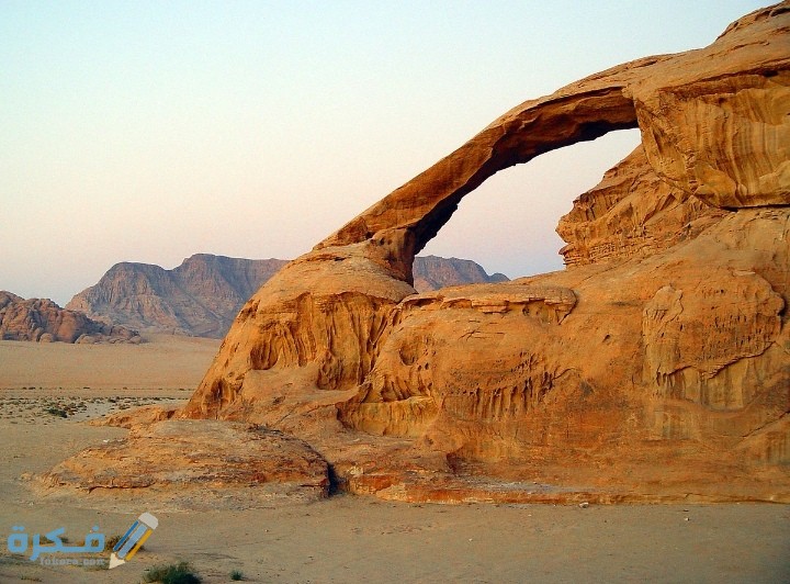 IMG ٢٠٢٠١٢٠٨ ٠١٢٧٤٦