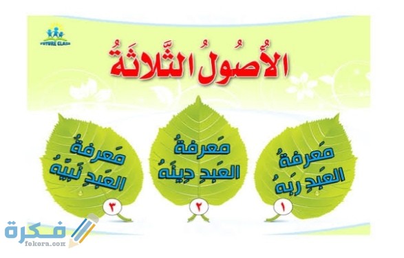 IMG ٢٠٢٠١٢٠٩ ٠٢٤٤٣٨